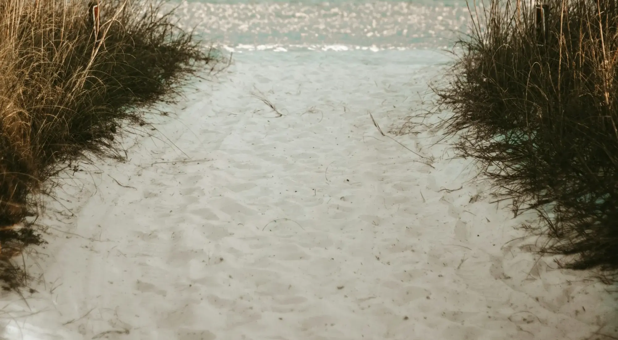 A sandy path through sea oats opening onto the Gulf in Destin, Florida.