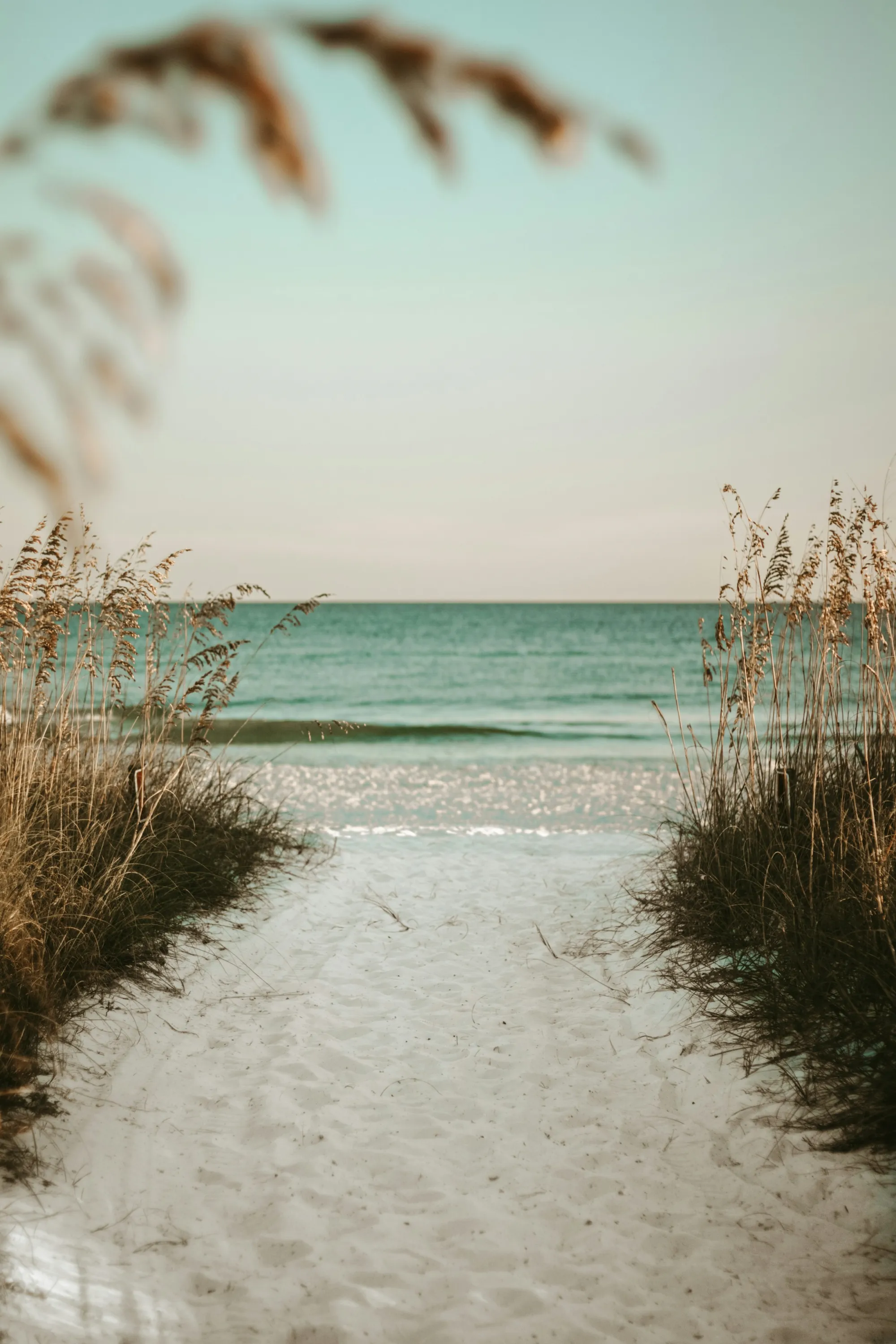 A sandy path through sea oats opening onto the Gulf in Destin, Florida.